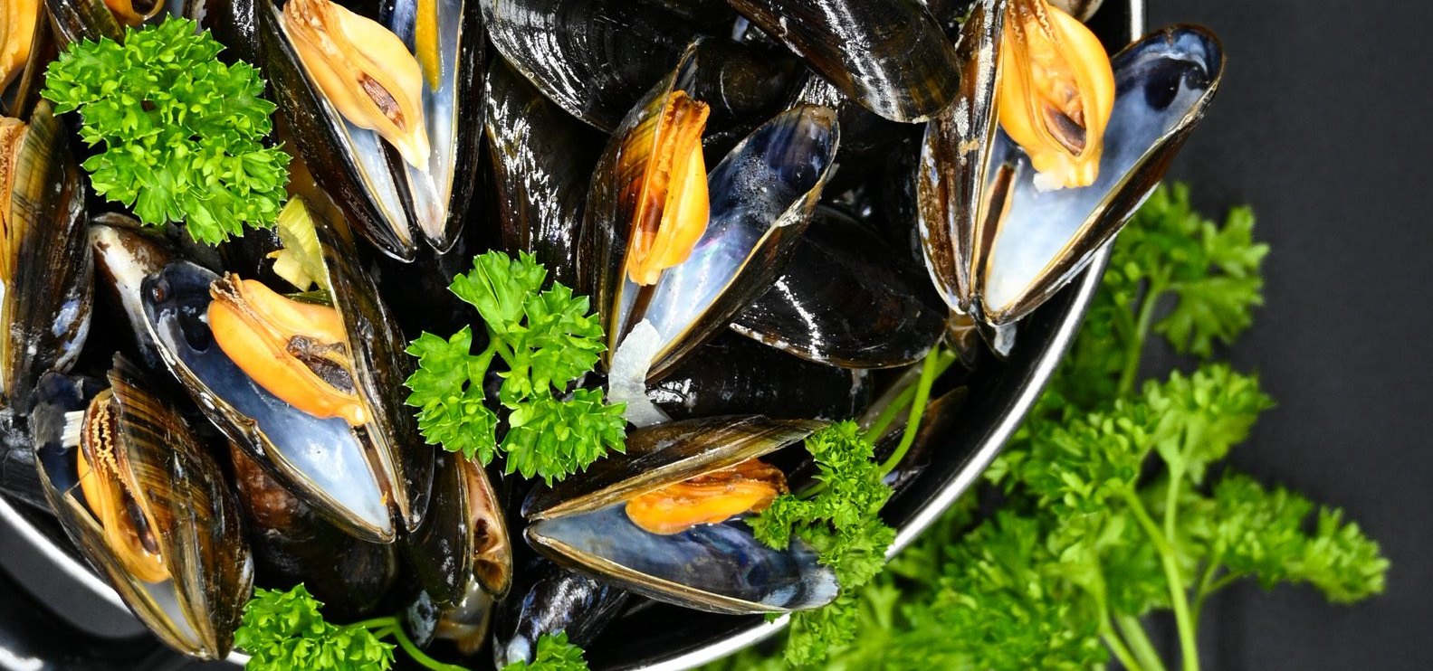 Casserole de moules marinières et frites fraîches, brasserie L'Édito à Reims